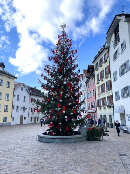 4x wetterfeste Dekoschleife, 25x30cm, Christbaum, Advent, Weihnachten, rote Ganzjahresschleife, Jubiläum